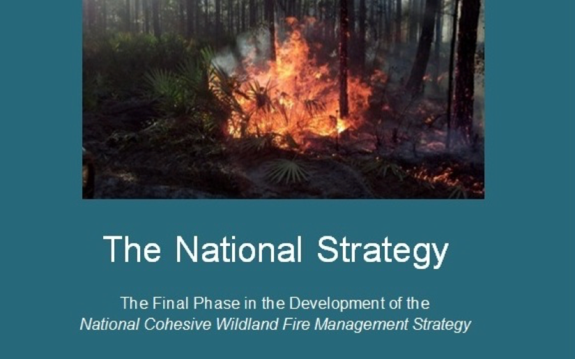 National Cohesive Wildland Fire Management Strategy 